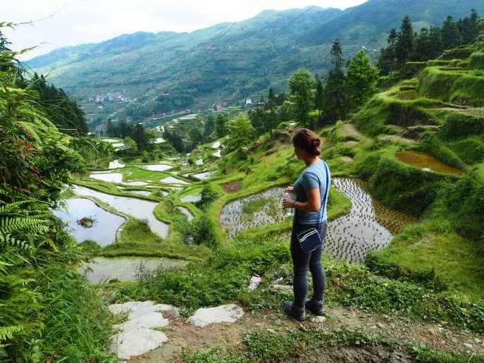 Uitzicht guizhou rijstvelden in zhaoxing china